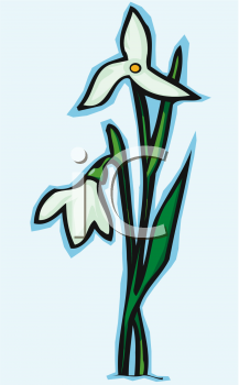 Nature and Scenic Clipart