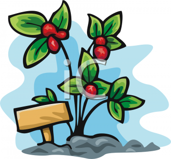 Nature and Scenic Clipart