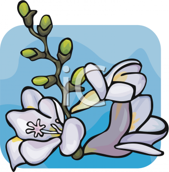 Nature and Scenic Clipart