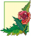Plant Clipart