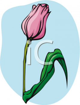 Nature and Scenic Clipart