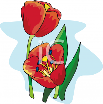 Nature and Scenic Clipart