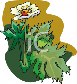 Nature and Scenic Clipart