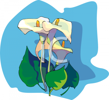 Nature and Scenic Clipart