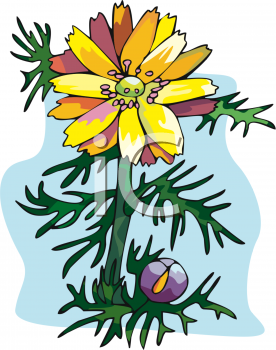 Nature and Scenic Clipart