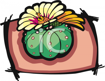 Nature and Scenic Clipart