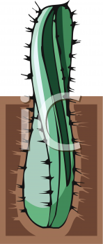 Nature and Scenic Clipart