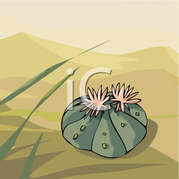 Nature and Scenic Clipart