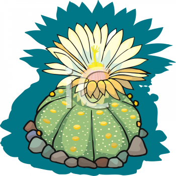Nature and Scenic Clipart