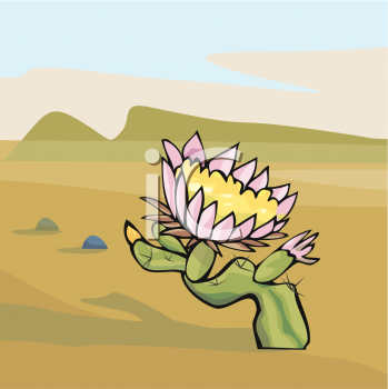 Nature and Scenic Clipart