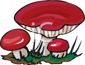 Nature and Scenic Clipart