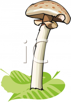 Nature and Scenic Clipart