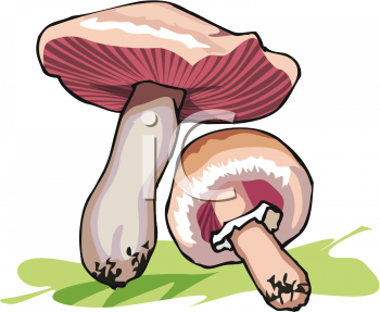 Nature and Scenic Clipart