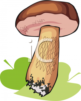 Nature and Scenic Clipart