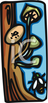 Insect Clipart