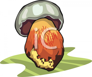 Nature and Scenic Clipart