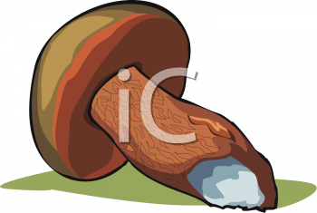 Nature and Scenic Clipart
