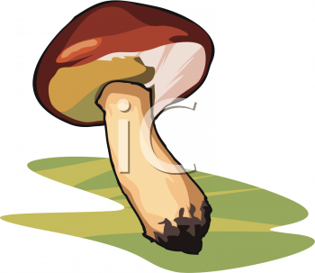 Nature and Scenic Clipart