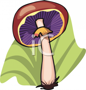 Nature and Scenic Clipart