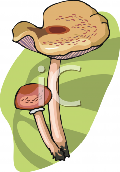 Nature and Scenic Clipart