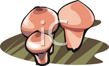 Nature and Scenic Clipart