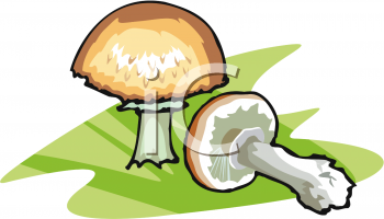 Nature and Scenic Clipart