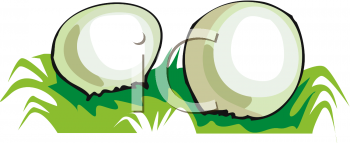 Nature and Scenic Clipart