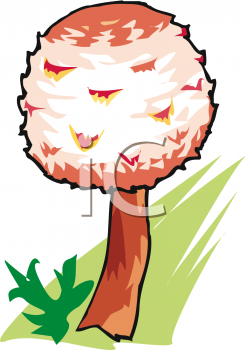 Nature and Scenic Clipart