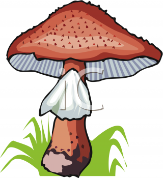 Nature and Scenic Clipart