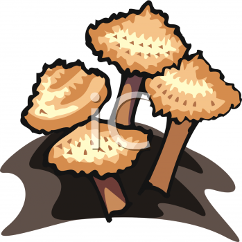 Nature and Scenic Clipart