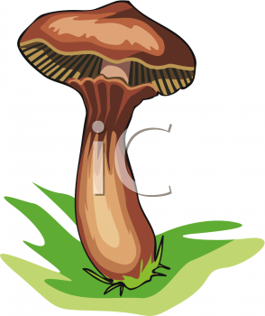 Nature and Scenic Clipart