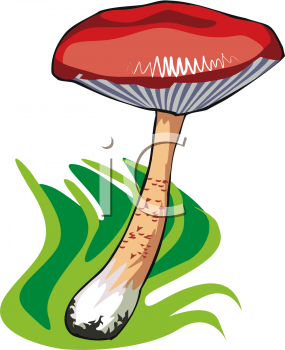 Nature and Scenic Clipart