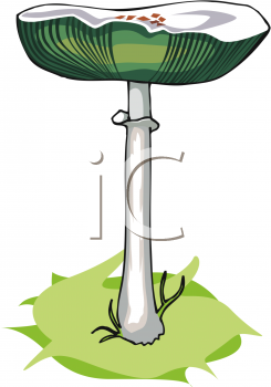 Nature and Scenic Clipart