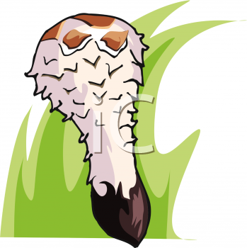 Nature and Scenic Clipart
