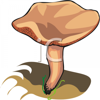 Nature and Scenic Clipart