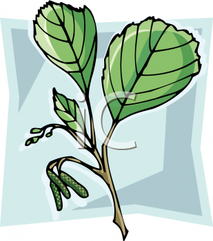 Nature and Scenic Clipart