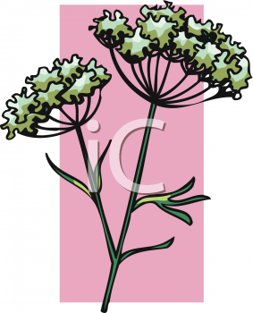 Nature and Scenic Clipart