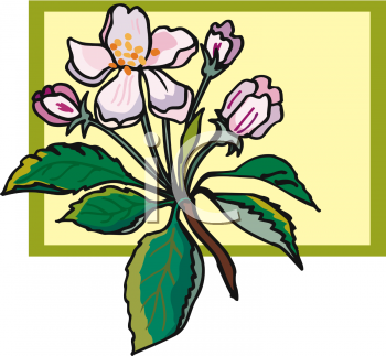 Food Clipart
