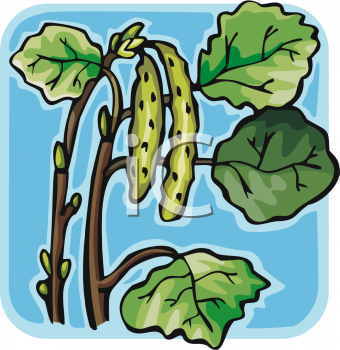 Nature and Scenic Clipart