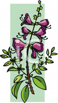 Nature and Scenic Clipart