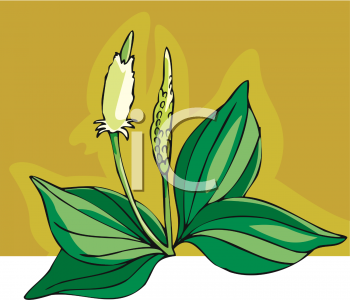 Nature and Scenic Clipart