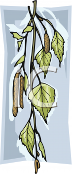 Nature and Scenic Clipart