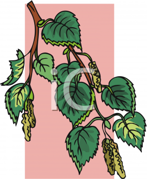 Nature and Scenic Clipart