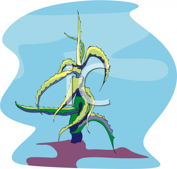 Nature and Scenic Clipart