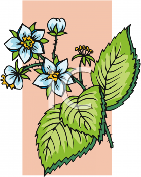 Nature and Scenic Clipart