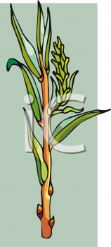 Nature and Scenic Clipart
