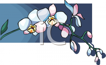 Nature and Scenic Clipart