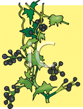 Nature and Scenic Clipart