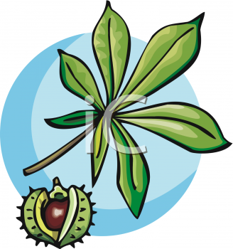 Nature and Scenic Clipart