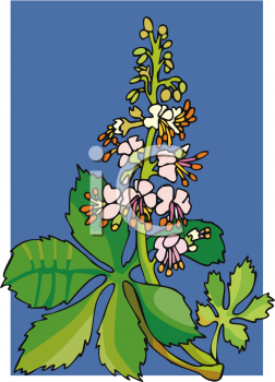 Nature and Scenic Clipart